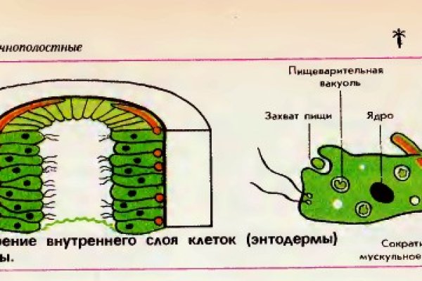 Кракен официальный сайт 2krnk cc