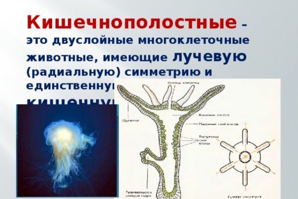 Где найти ссылку кракен