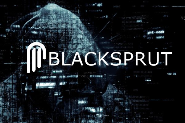 Kraken найдется все
