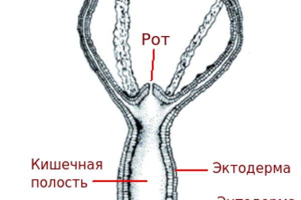 Кракен это сайт