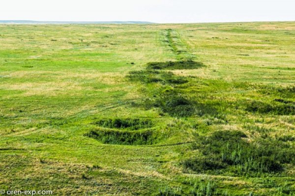 Можно ли вывести деньги с кракена